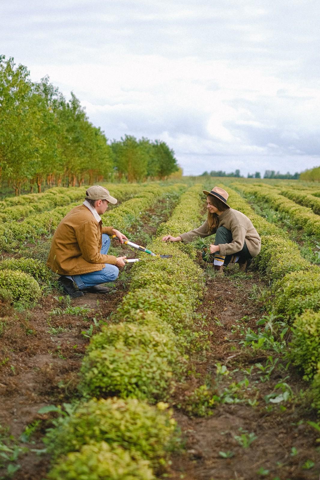 Fuller Farming